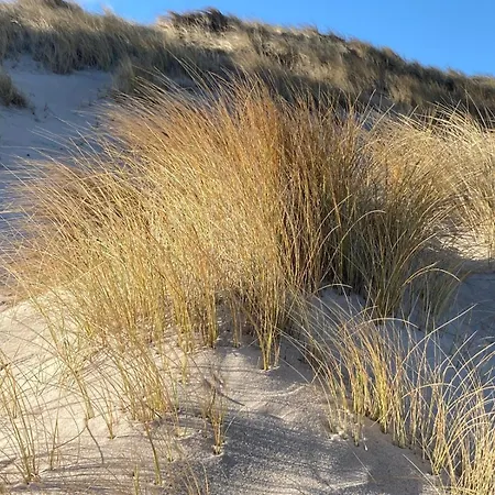 Lazy Osyter Sylt * Braderup (Sylt)