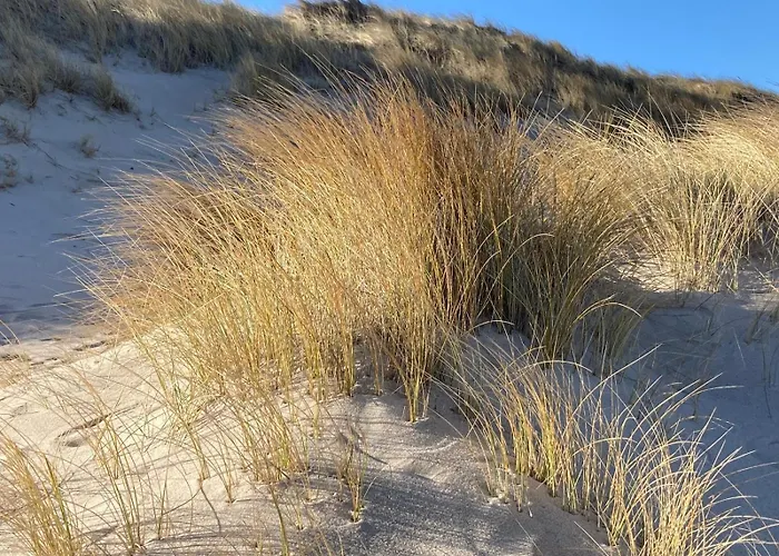 Lazy Osyter Sylt * Braderup (Sylt)